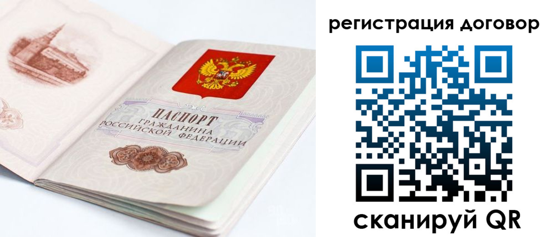 прописка иностранных граждан в Светлом