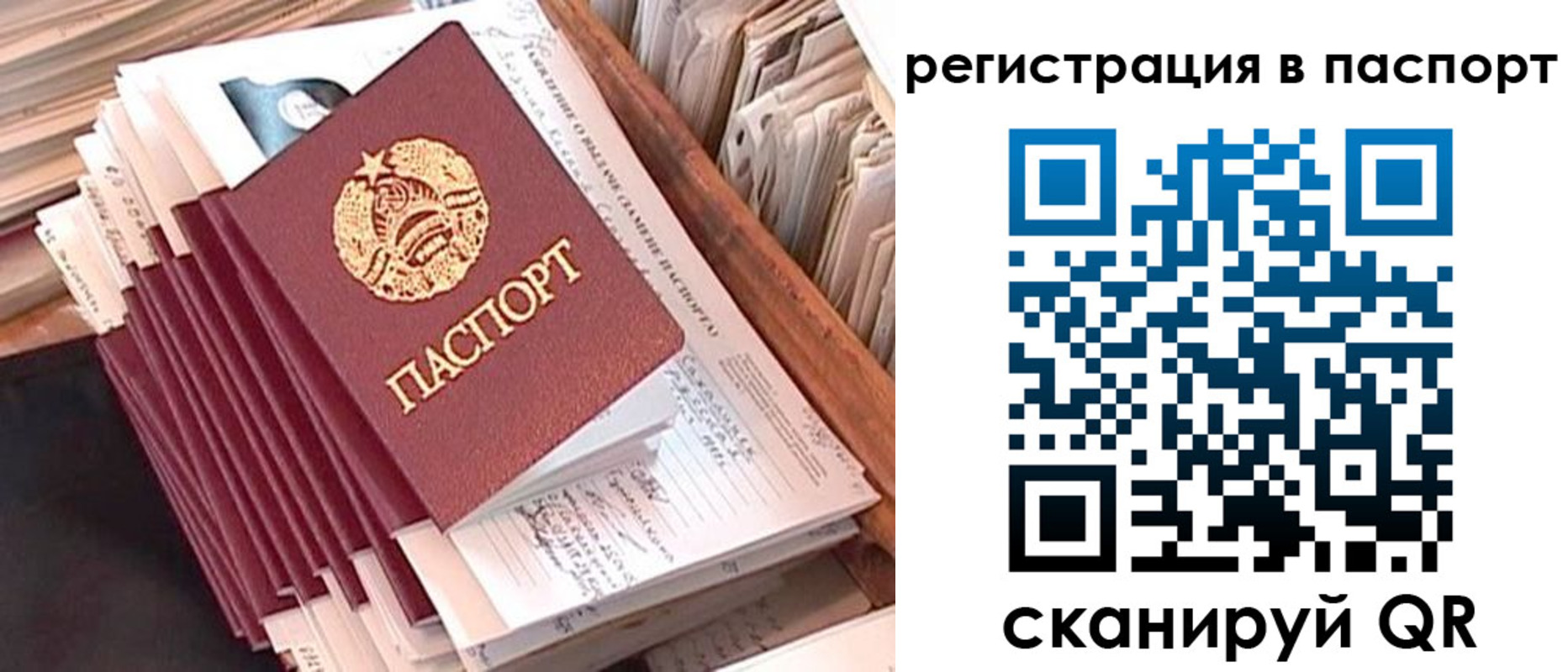 временная регистрация 2025 в Светлом